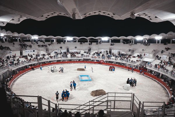 Le rôle des fédérations de pétanque